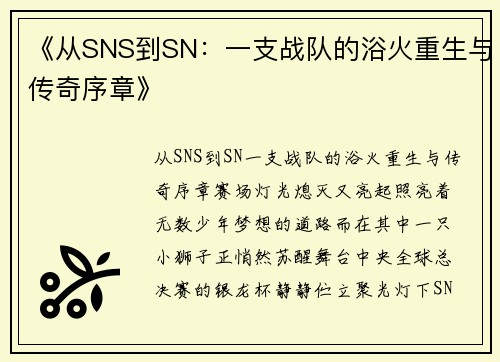 《从SNS到SN：一支战队的浴火重生与传奇序章》